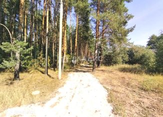 Продам участок, 90 сот., деревня Пласкинино, Центральная улица