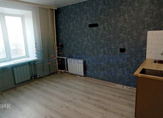 Продажа квартиры студии, 18 м2, Нижний Новгород, Дворовая улица, 35, Дворовая улица