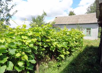 Продаю дом, 57 м2, деревня Ивановское, Центральная улица, 17