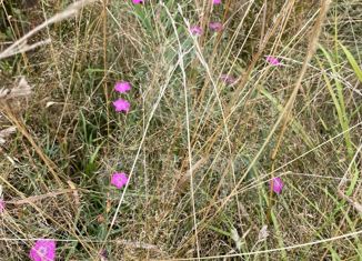 Продается участок, 37 сот., деревня Жуковка