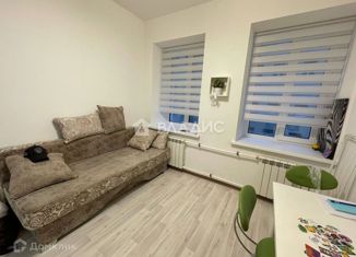 Продам квартиру студию, 16 м2, Санкт-Петербург, 12-я линия Васильевского острова, 53, метро Василеостровская