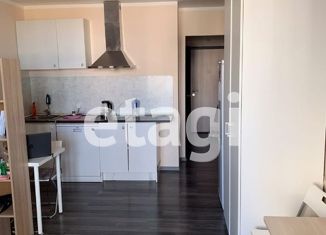 Квартира на продажу студия, 26.1 м2, Санкт-Петербург, улица Михаила Дудина, 10, улица Михаила Дудина