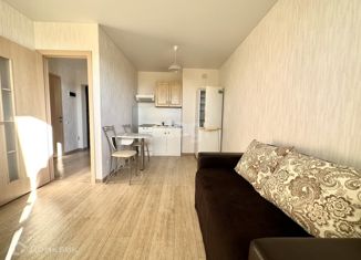 Сдача в аренду 1-комнатной квартиры, 28.8 м2, посёлок Новинки, 2-я Дорожная улица, 31