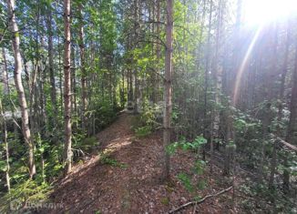 Продам участок, 15.5 сот., посёлок городского типа Верхняя Максаковка, 5-я линия