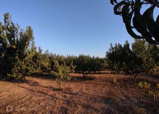 Продам участок, 15 сот., село Золотое Поле, улица Некрасова, 50