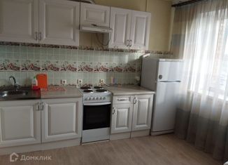 Сдам в аренду однокомнатную квартиру, 54 м2, Новосибирская область, улица Семьи Шамшиных, 30