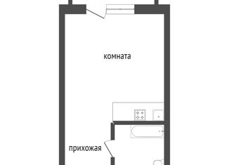 Продается квартира студия, 17.4 м2, Красноярский край, улица Борисова, 42