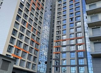 Сдам в аренду квартиру студию, 24 м2, посёлок Парголово, Толубеевский проезд, 8к2