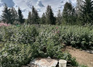 Продам дом, 66.7 м2, село Маслово, улица Маяковского