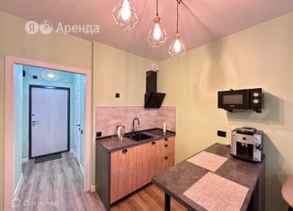 Квартира в аренду студия, 24 м2, Санкт-Петербург, Планерная улица, 87к1