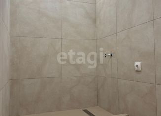 Продается дом, 80 м2, деревня Нижний Вишур, Центральная улица, 10