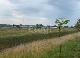 Продам земельный участок, 284.2 сот., село Грабцево