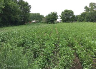 Продам участок, 32 сот., село Осиновая Речка, Амурская улица