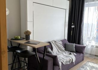 Продажа квартиры студии, 22.4 м2, Москва, Боровское шоссе, 2к7, ЖК Мещерский Лес