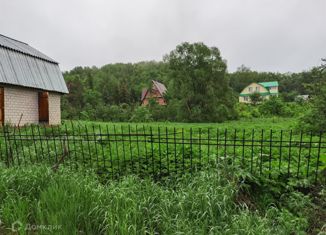 Продажа дома, 43.9 м2, деревня Асканыш, Центральная улица