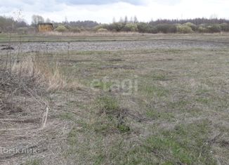 Земельный участок на продажу, 31.9 сот., село Большой Хомутец, Центральная улица