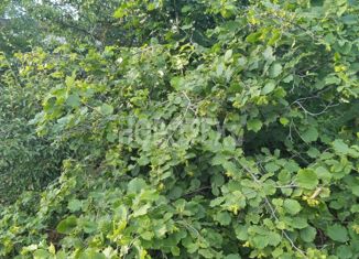 Дом на продажу, 31 м2, Белореченск, Набережная улица