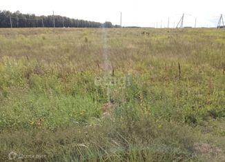 Участок на продажу, 10 сот., деревня Нолька, Центральная улица