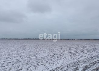 Продажа участка, 50 сот., село Михайловка