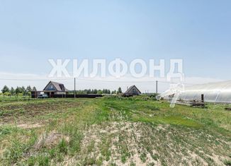 Участок на продажу, 11.9 сот., село Шахи, улица Строителей