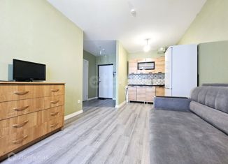 Сдача в аренду 1-комнатной квартиры, 35 м2, посёлок Парголово, Михайловская дорога, 14к1