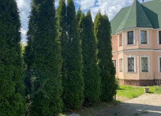 Продажа дома, 250.5 м2, деревня Перевоз, деревня Перевоз, 2