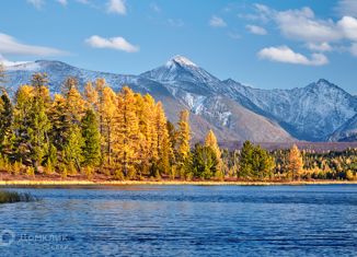 Участок на продажу, 11 сот., село Ново-Троицк