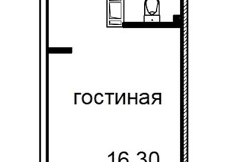 Квартира на продажу студия, 25.32 м2, Санкт-Петербург, Витебский проспект, 99к1, метро Купчино