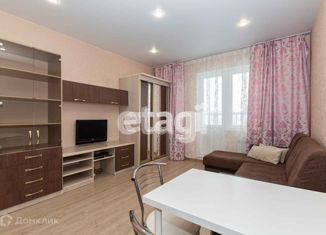 Сдам в аренду квартиру студию, 24 м2, Новосибирск, улица Ошанина, 1, улица Ошанина