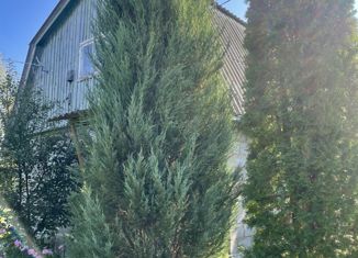 Дом на продажу, 56 м2, СНТ Афган