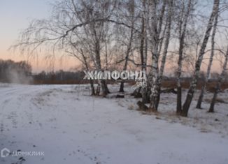 Земельный участок на продажу, 18 сот., село Завьялово, Совхозная улица