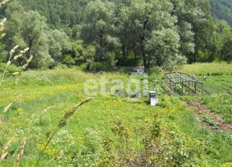 Участок на продажу, 1200 сот., село Майма