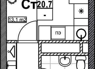 Продается квартира студия, 20.7 м2, Нижний Новгород, метро Стрелка, Мещерский бульвар, 1