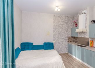 Продам 1-комнатную квартиру, 25 м2, Новосибирск, Ядринцевская улица, 71, Ядринцевская улица