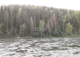 Земельный участок на продажу, 30 сот., село Усть-Пыжа, Центральная улица