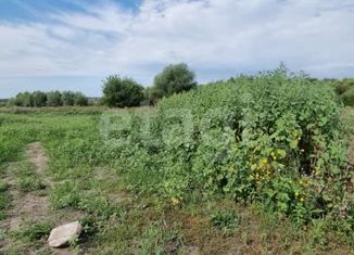 Продажа участка, 8 сот., деревня Медовка, Центральная улица