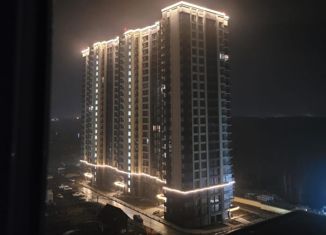 Квартира на продажу студия, 46 м2, Новосибирск, Рябиновая улица, Рябиновая улица