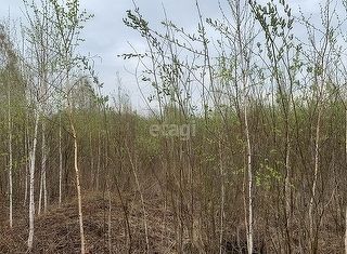 Продаю участок, 7.09 сот., СНТ Липки, Лесная улица