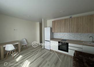 Квартира на продажу студия, 27.9 м2, Челябинск, улица Университетская Набережная, 56, жилой район Академ Риверсайд