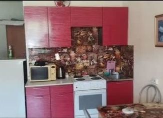 Сдается в аренду квартира студия, 29 м2, Бердск, Черемушная улица, 51к1