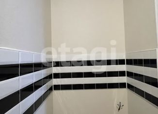 Продаю квартиру студию, 29 м2, село Осиновая Гора, Восточная улица, 13