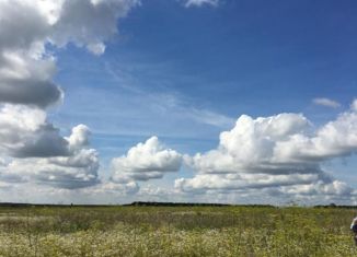 Продажа участка, 490 сот., село Старое Чурилино