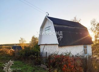 Продам дом, 48 м2, деревня Паньково (Неполодское сельское поселение), Новая улица