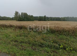 Продается участок, 890.4 сот., посёлок городского типа Верхняя Синячиха, улица Красной Гвардии