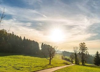 Земельный участок на продажу, 15.2 сот., поселок Осокино