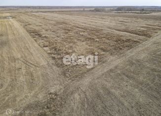 Продается участок, 10 сот., село Салаирка