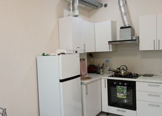 Продажа квартиры студии, 29.1 м2, Сочи, Бакинская улица, 9/1, микрорайон Зорька