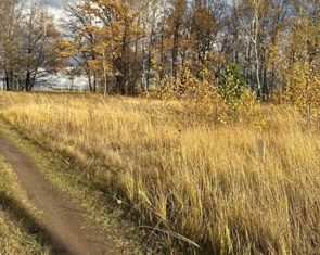 Продажа земельного участка, 6 сот., деревня Яшь Кеч, Садовая улица, 20А