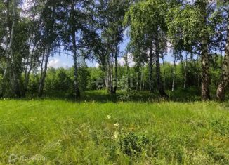 Продам земельный участок, 10 сот., деревня Шимаковка