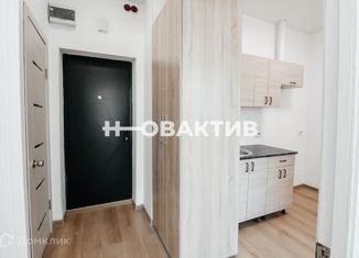 Продается 1-комнатная квартира, 35 м2, Новосибирск, Сухановская улица, 6А, метро Заельцовская